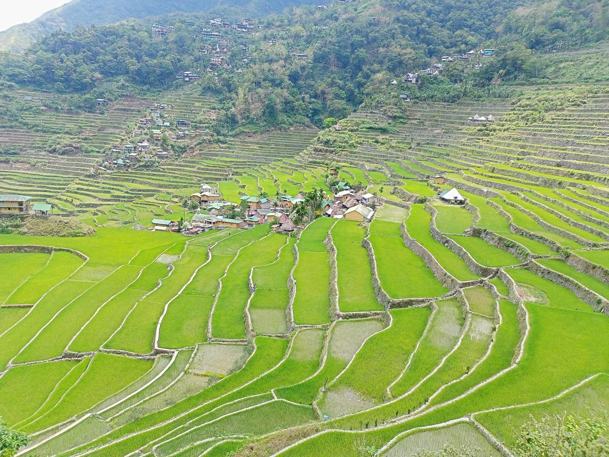 Banaue Transient House Bed And Breakfast Exteriér fotografie